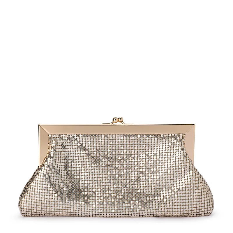 ZARA Mesh Frame Clutch